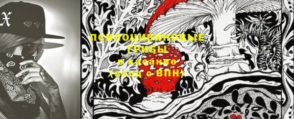 PSILOCYBIN Киреевск
