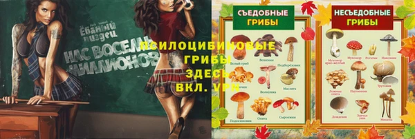 тгк Козельск