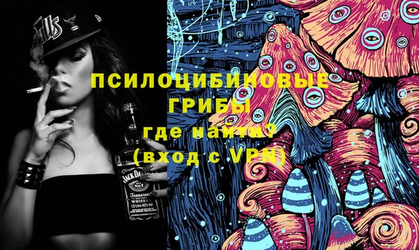 тгк Козельск