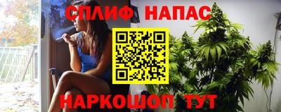 гашик Бузулук