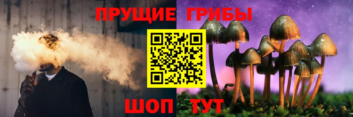 Вологда  Псилоцибиновые грибы прущие грибы  Вход с VPN 