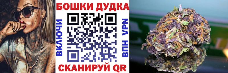 Марихуана конопля  Вологда 